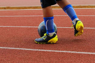 开云官网-CBA新赛季全面开打各队实力全面升级，cba新赛季有哪些球队